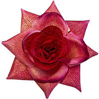 Троянда Прима, 14 см