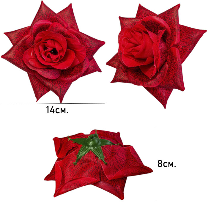 Троянда Прима, 14 см, фото 1