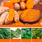 Олійка для росту волосся 35мл LUNOON / Олія для шкіри голови / Олія від випадіння волосся, фото 4