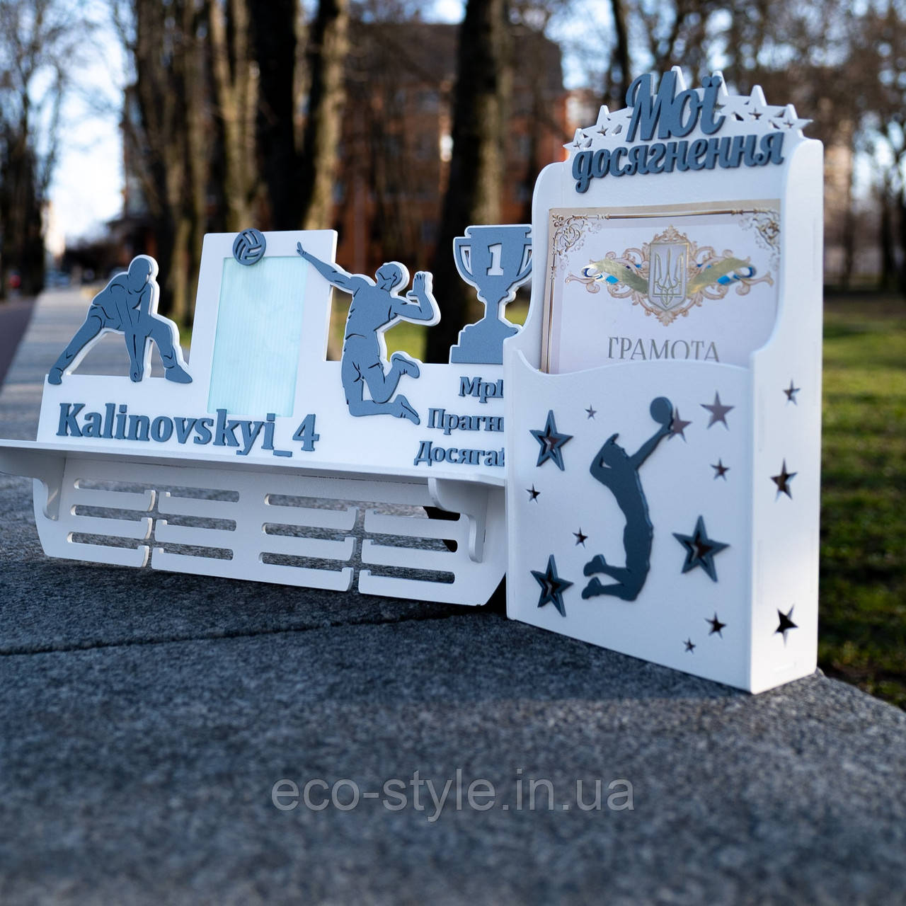 Набір медальниця і дипломниця. Медальниця волейбол. Дипломниця волейбол. Подарунковий набір спортсмену, фото 1