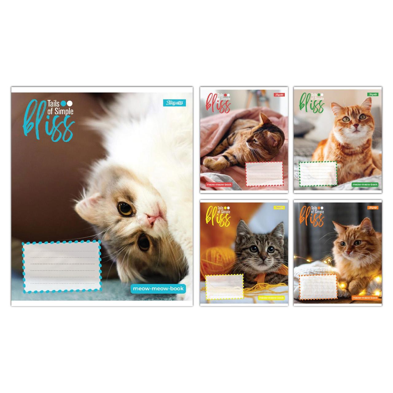 Зошит учнівський шкільний 1 Вересня Bliss А5 12 аркушів лінія