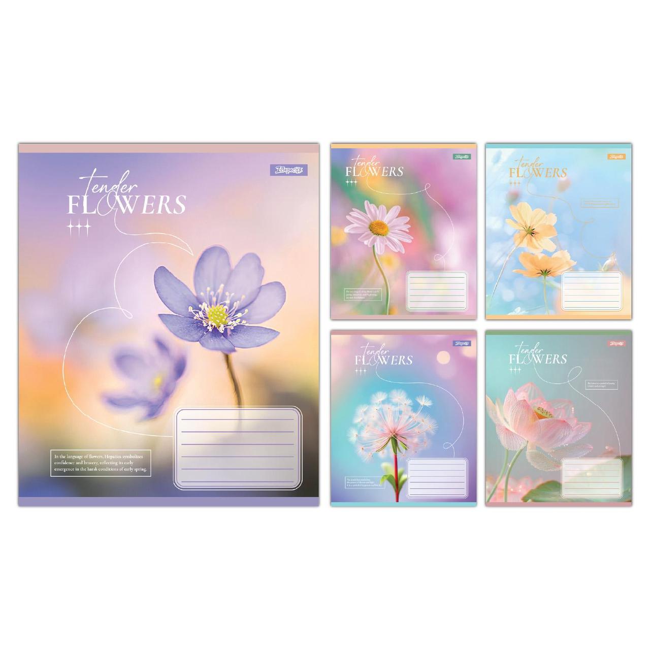 Зошит учнівський шкільний 1 Вересня Tender Flowers А5 24 аркушів лінія