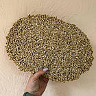 Набір кам'яний килим 22.2кг Creto (каміння + клей) Кіс-кіс, фото 3