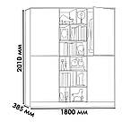 Висока шафа з полицями для одягу Шафи чотири двері для зберігання особистих речей 180 см з ламінованого ДСП, фото 7