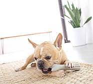 Іграшка для собак Petstages Петстейджес Deerhorn Дог Оленячий ріг велика (pt670) 0871864006701, фото 3