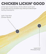 Іграшка для собак Petstages Петстейджес Chick A Bone Чік-А-Бон кістка S-8см (pt67339) 0700603673396, фото 3