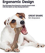 Іграшка для собак Petstages Петстейджес Liver Branch Гілка з ароматом печінки велика 20см (pt68611), фото 5