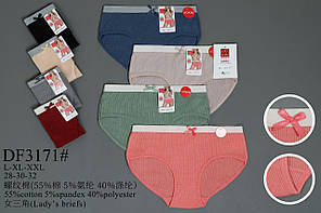 Труси підліткові 12-15 років «Пастельні тони Щасливий кіт» (3171)