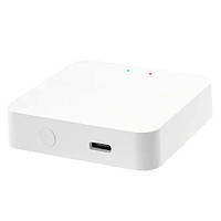 Контролер шлюз хаб для розумного будинку Tuya ZigBee BLE Mesh, Type-C, TYZG1