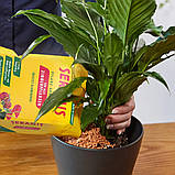 Субстрат Seramis для рослин універсальний 2,5 л (Сераміс), фото 8