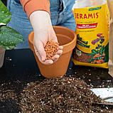 Субстрат Seramis для рослин універсальний 2,5 л (Сераміс), фото 7