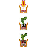 Субстрат Seramis для кактусів і сукулентів 2,5 л (Сераміс), фото 5