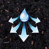 Субстрат Seramis для кактусів і сукулентів 2,5 л (Сераміс), фото 7