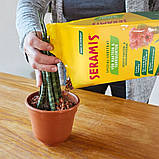 Субстрат Seramis для кактусів і сукулентів 2,5 л (Сераміс), фото 8