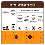CLUB 4 PAWS PREMIUM Клуб 4 лапи вологий корм для котів з лососем в соусі, 85 гр., фото 4
