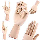 Дерев'яна рука манекен RESTEQ 18см модель для тримання товару, для малювання, фото 9