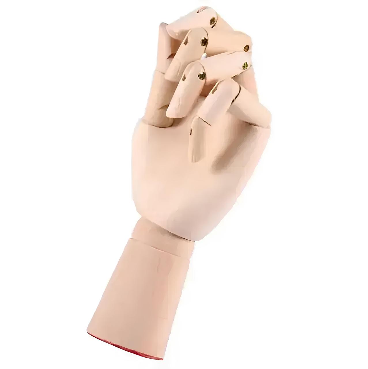 Дерев'яна рука манекен RESTEQ 18см модель для тримання товару, для малювання, фото 1