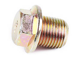 Болт картера (слива оливи)  на дизельний двигун мотоблок дизель 170D