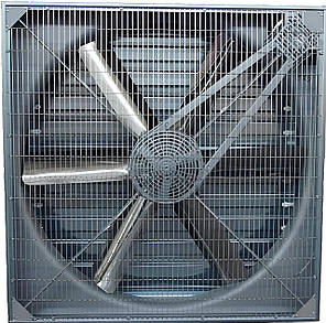 Вентилятор серії ES-200 від італійського виробника Gigola Riccardi, трьохфазний