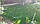 Дощуватель статичний Uni-Ѕргау, US-412, Висувна частина 10 см + форсунка 12VAN Rain Bird, фото 10