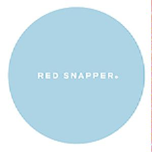 Red Snapper – A Pale Blue Dot (CD Audio)