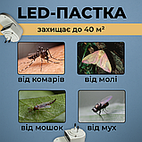 Пастка для мух липка, автоматична ловушка для мух, клейова пастка від мух Hechpro (PLUG01), фото 2