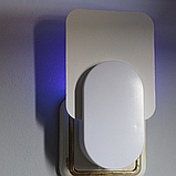 Пастка для мух липка, автоматична ловушка для мух, клейова пастка від мух Hechpro (PLUG01), фото 6