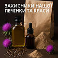 Розторопша — зелений захисник нашої печінки та краси