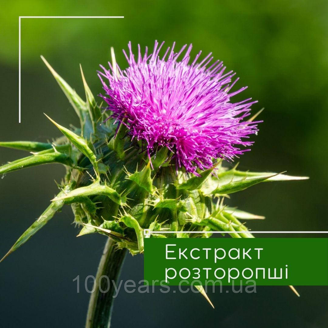 Экстракт расторопши, 50 мл