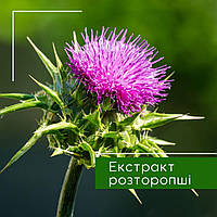 Экстракт расторопши, 50 мл