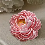 Півонія Помпон 3D, фото 2