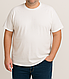 Футболка чоловіча БАТАЛ 3XL-5XL в кольорах - фото 1 - id-p2635477595