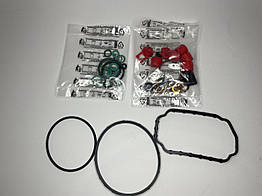 Ремкомплект ПНВТ BOSCH Fiat Ducato 230, Peugeot Boxer, Citroen Jumper (1994-2002) 2.5/2.8, 994702, Engitech, Польща