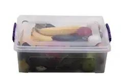 Пластиковий контейнер для зберігання 21 л прямокутний з кришкою 94157