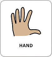 Картки з піктограмами. Гігієна. Моє тіло, фото 3