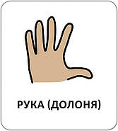 Картки з піктограмами. Гігієна. Моє тіло, фото 4