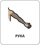 Картки з піктограмами. Гігієна. Моє тіло, фото 5