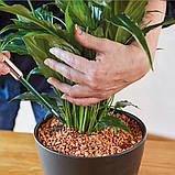 Субстрат Seramis для рослин універсальний 7,5 л (Сераміс), фото 9