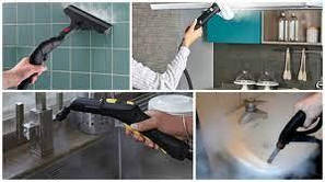 Пароочисники