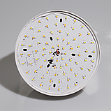 Комплект свіла Два софтбокса з штативами 210 см і Двома Світлодіодними LED лампами 100 Вт з пультом, фото 4