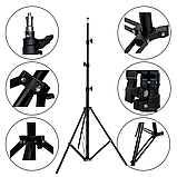 Комплект свіла Два софтбокса з штативами 210 см і Двома Світлодіодними LED лампами 100 Вт з пультом, фото 7
