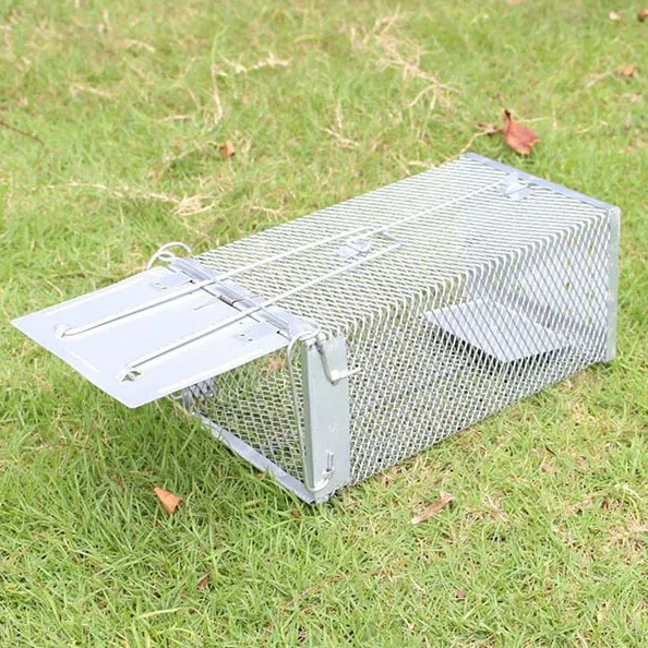 Клетка ловушка для крыси других небольших вредителей из толстой стальной сетки, фото 1