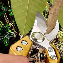 Садові ножиці секатор для обрізки дерев, рослин Professional Grafting Tool 1701 (JS), фото 5