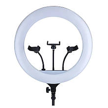 Професійна кільцева LED лампа YQ-460A з 3 тримачами для телефону, 46 см
