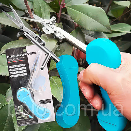 Садові ножиці секатор з високовуглецевої сталі для збору плодів, обрізки гілок, листя 20x12.8x3 см (JS), фото 1
