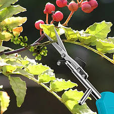 Садові ножиці секатор з високовуглецевої сталі для збору плодів, обрізки гілок, листя 20x12.8x3 см (JS), фото 3