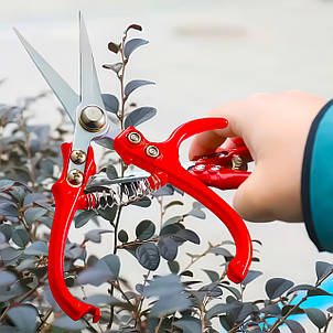 Універсальні садові ножиці з пружиною для збору плодів, обрізки гілок, листя Ding C 1946 (JS), фото 1