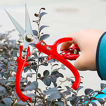 Універсальні садові ножиці з пружиною для збору плодів, обрізки гілок, листя Ding C 1946 (JS)