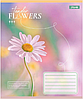 Зошити 24 аркуша лінія 1Bересня "Tender Flowers" 768077, фото 5