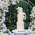 Найкращий весільний торт, фото 3